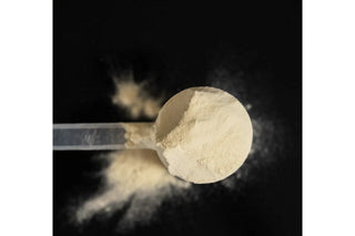 Ultra Recovery Protein Powder (500g)