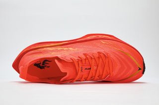 FLAME 5